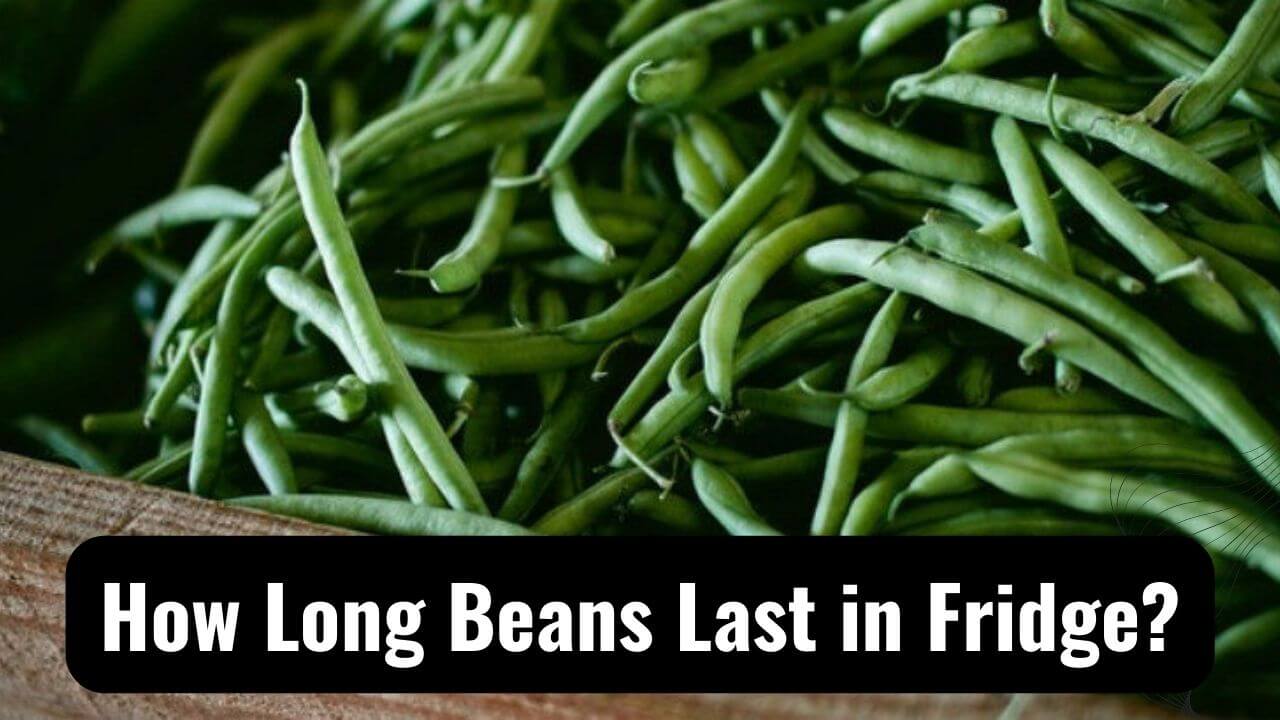 Long Live The Beans! How Long Beans Last In Fridge?