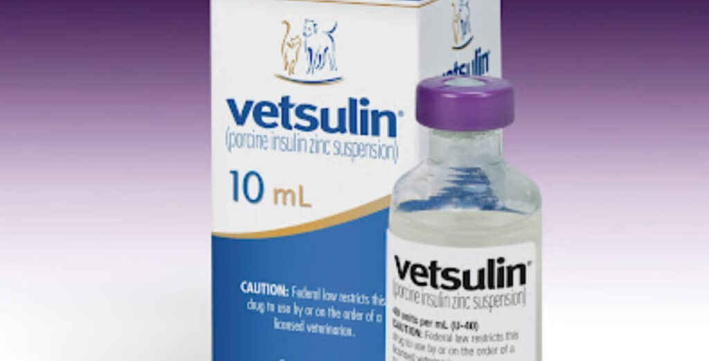 Can I Use Vetsulin After 42 Days