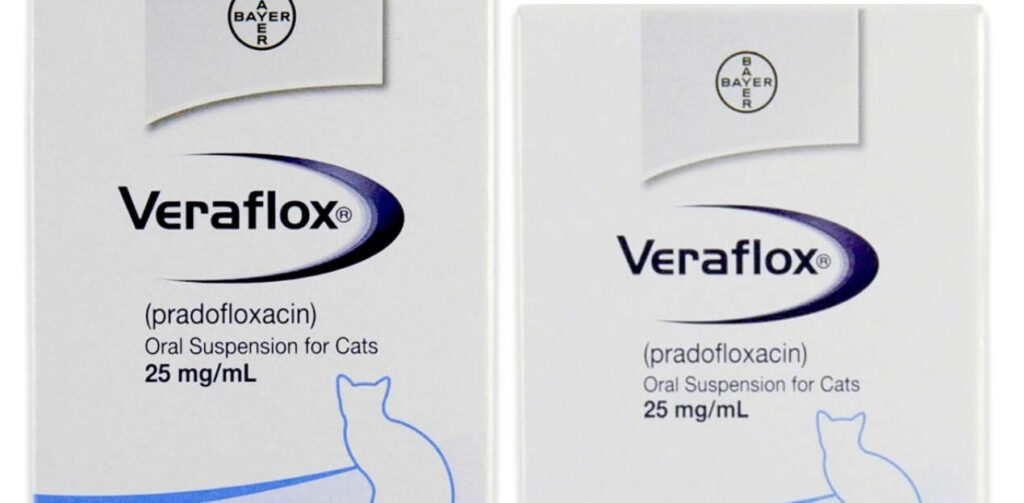 Does Veraflox for Cats Need to Be Refrigerated