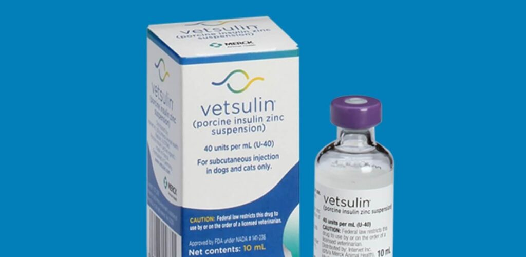 Does Vetsulin Need to Be Refrigerated