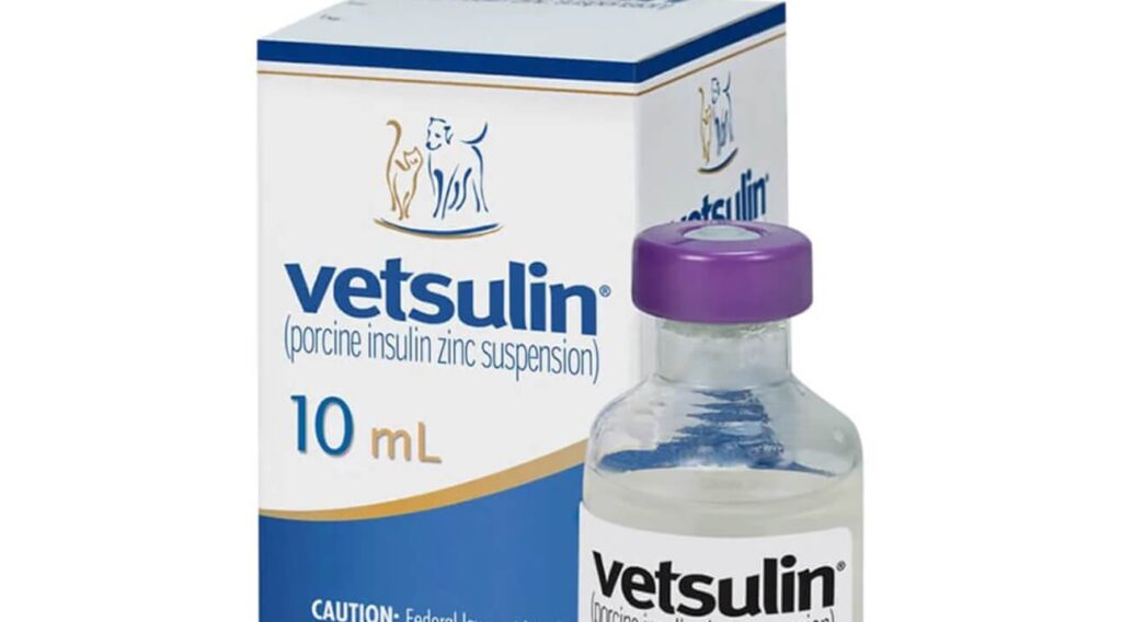 How Long Can Vetsulin Be Left Out at Room Temperature