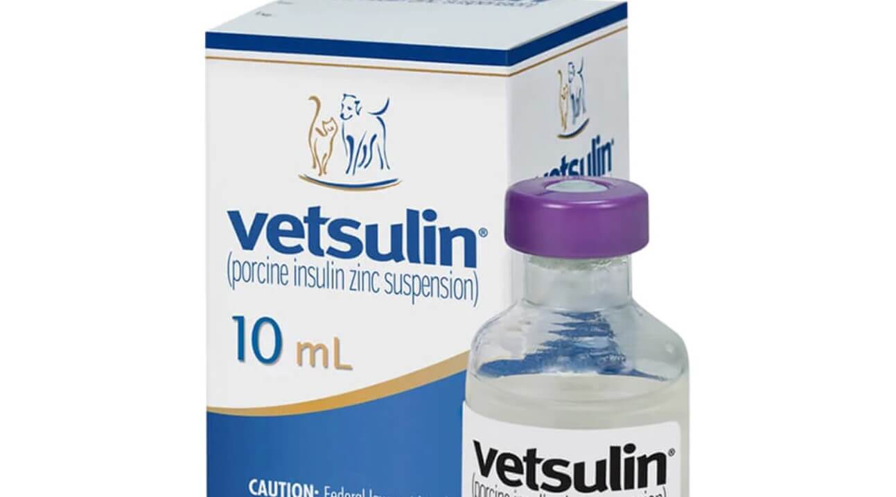Vetsulin 101 Does Vetsulin Need To Be Refrigerated?