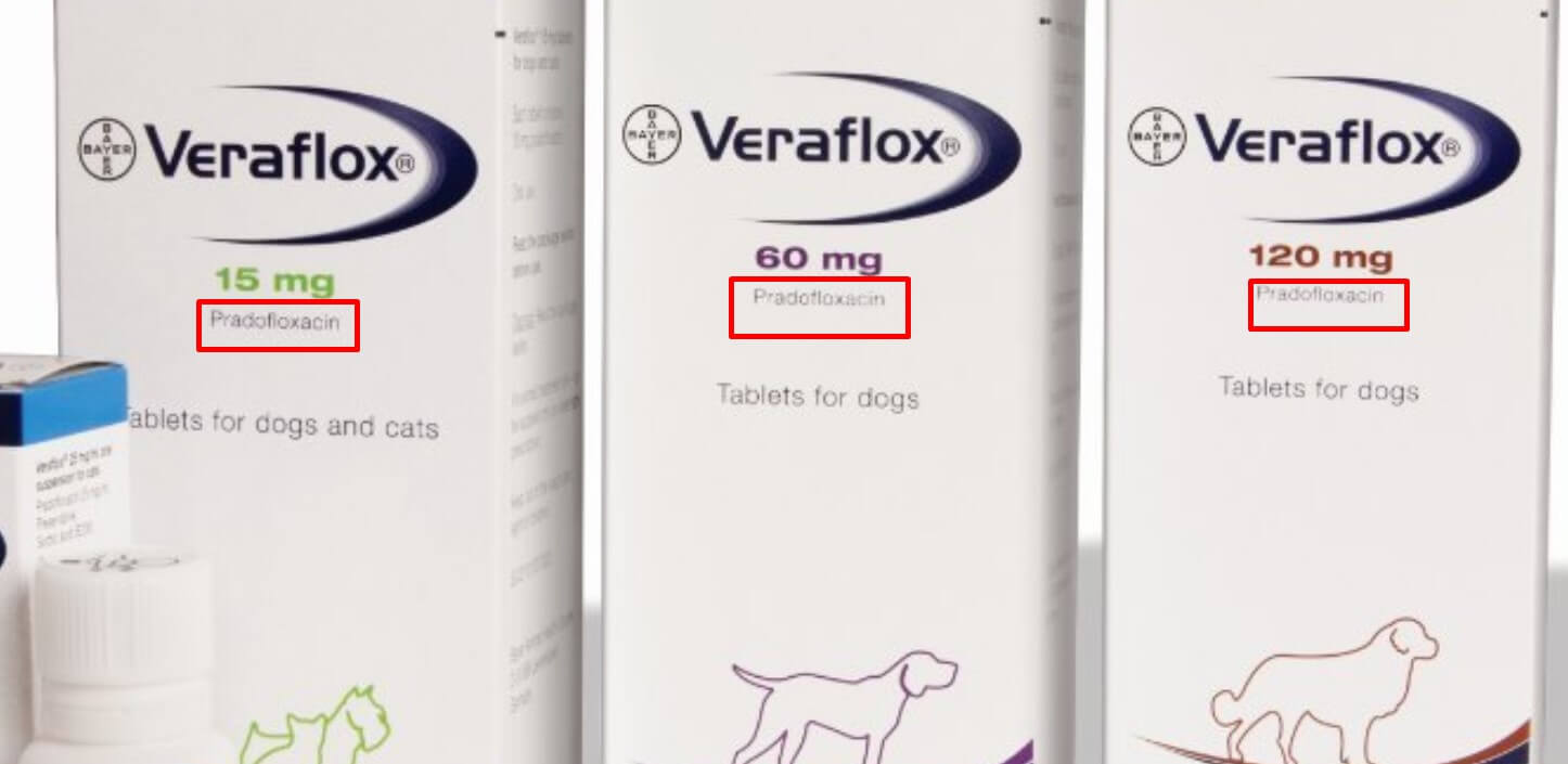 Cat Care Secrets Does Veraflox For Cats Need To Be Refrigerated?