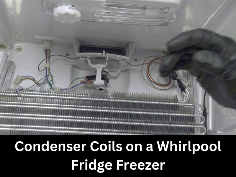 Condenser Coils on a Whirlpool Fridge Freezer