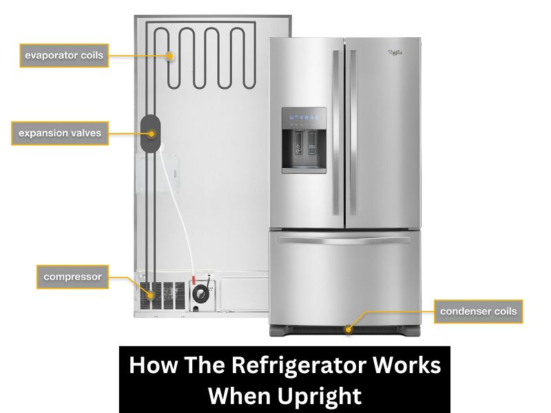 How The Refrigerator Works When Upright