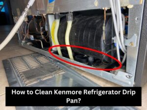 How To Clean Kenmore Elite Refrigerator Water Dispenser?