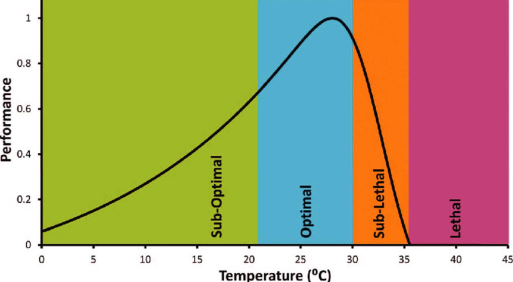 Identifying The Optimal Temperature Range