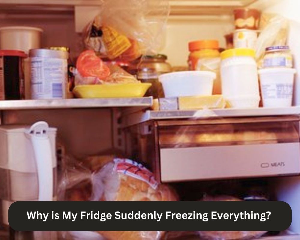 Why is My Fridge Suddenly Freezing Everything? 
