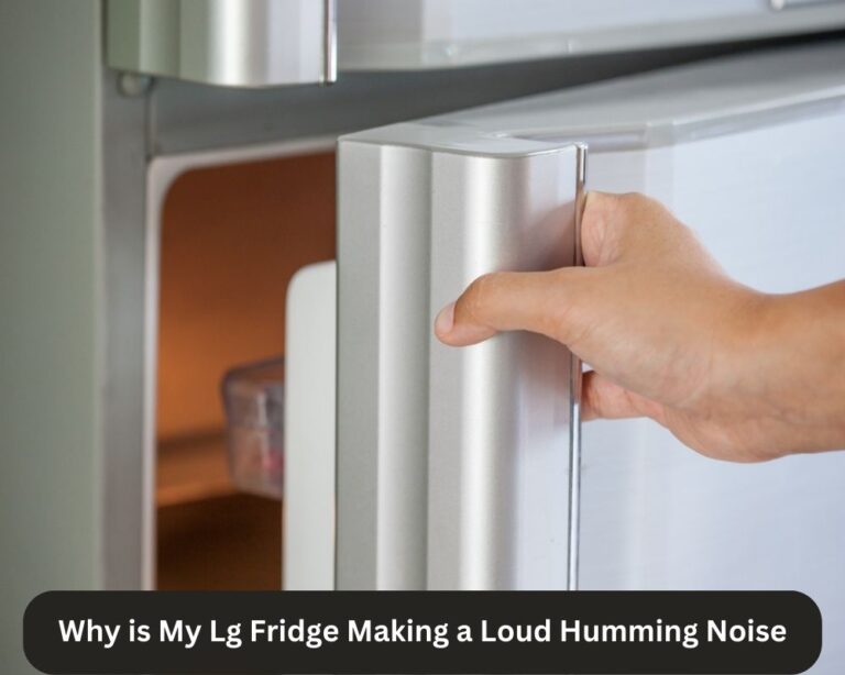 Why Is My Lg Fridge Making A Loud Humming Noise? Fix It