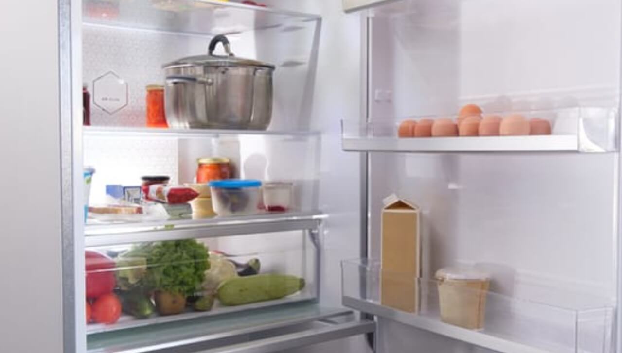 Refrigerator Door Won't Close Automatically How To Fix!