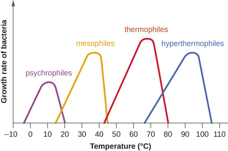 The Impact Of Temperature On Growth Hormone Potency