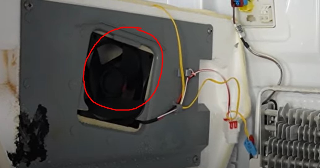 Samsung Refrigerator Fan Noise Fix Stop The Buzz