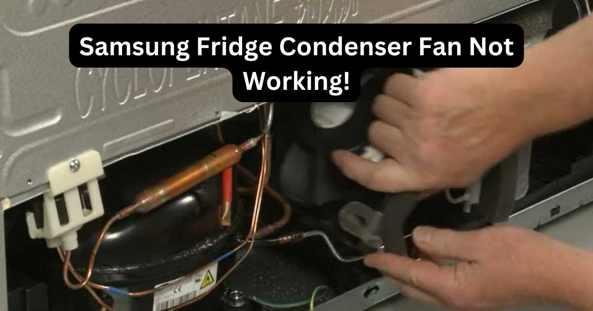 Condenser Fan Not Working On Fridge at Jerry Lozano blog