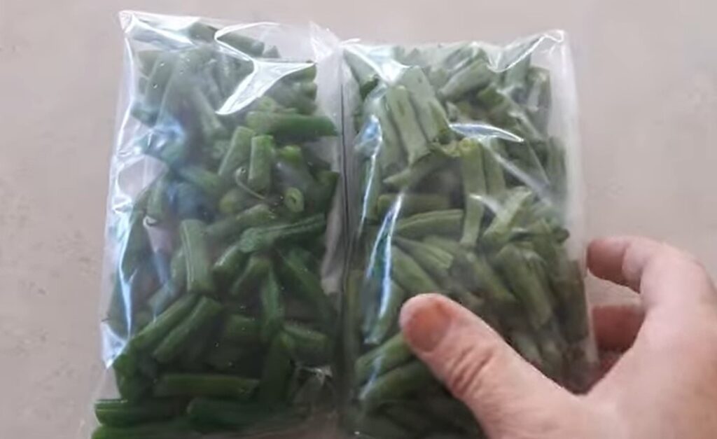 Effect Of Packaging And Wrapping of green beans