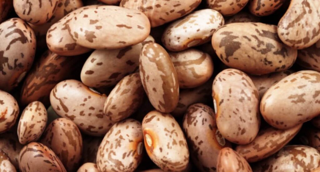 How long do pinto beans last in the fridge