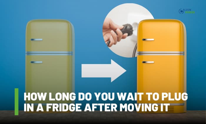How long should you leave a fridge freezer to settle