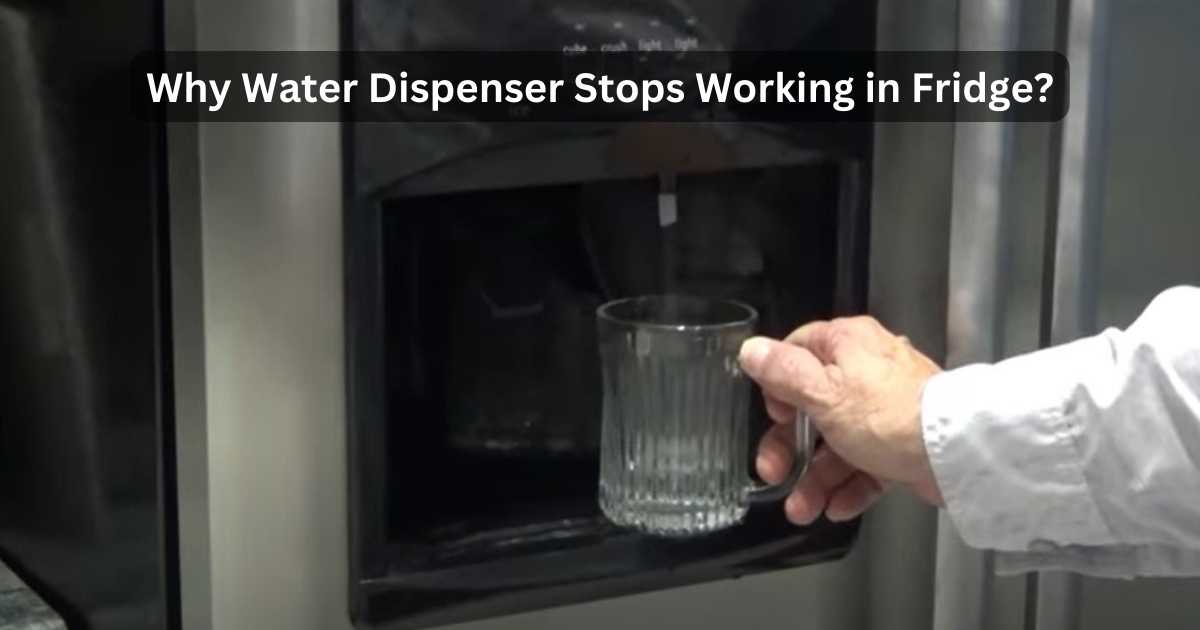 Why Water Dispenser Stops Working In Fridge? Learn The Fact!