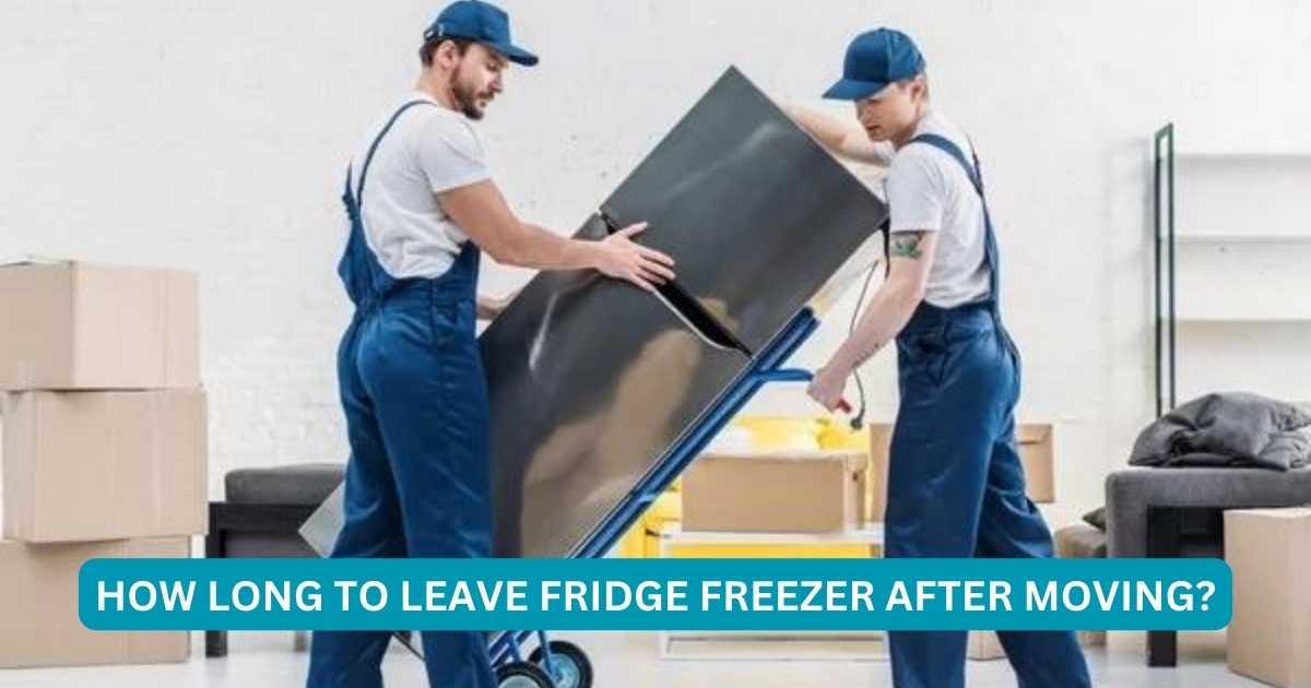 How Long To Leave Fridge Freezer After Moving? Chilling Advice