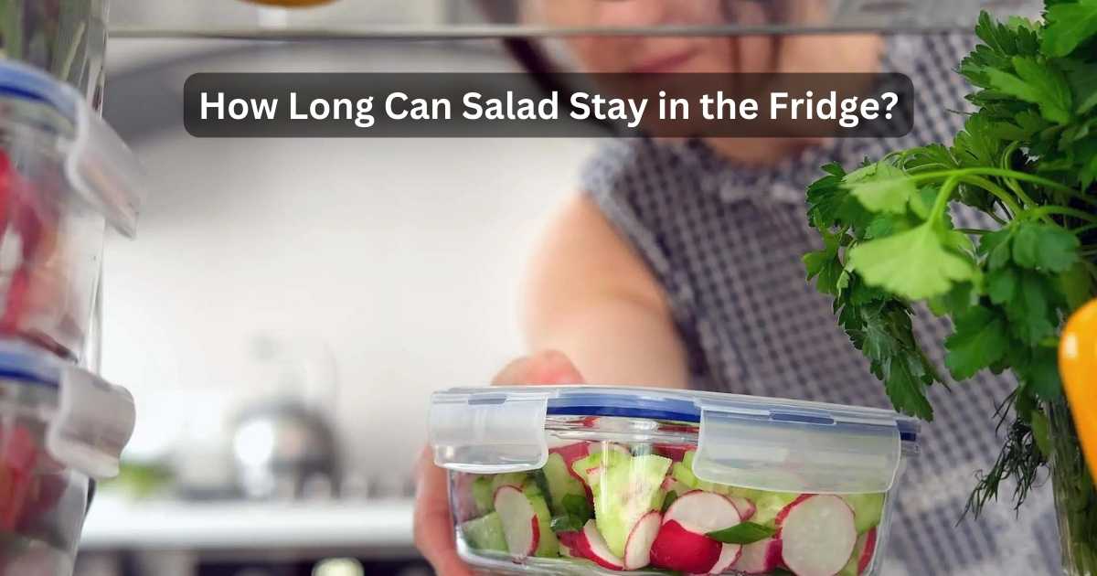 Fridge To Fork How Long Can Salad Stay In The Fridge?