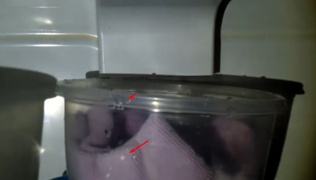 Whirlpool Refrigerator French Door Problems Common Issues